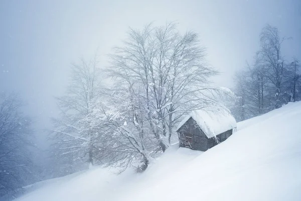 Зима Туманом Снегопадом Одинокий Деревянный Дом Горном Лесу Покрытый Снегом — стоковое фото