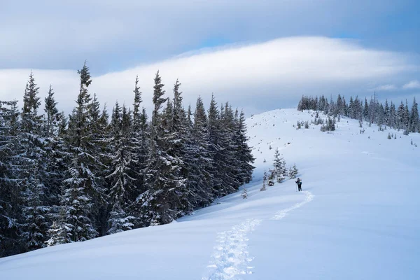 Winter bergwandeling — Stockfoto