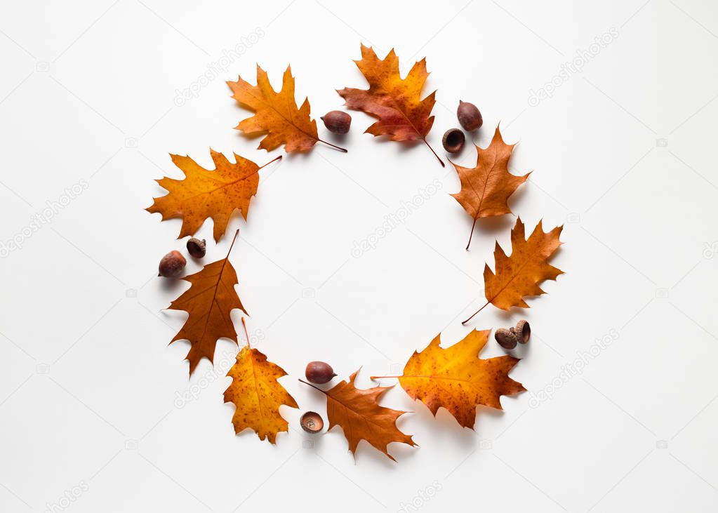 Autumn frame with fall foliage on white background 