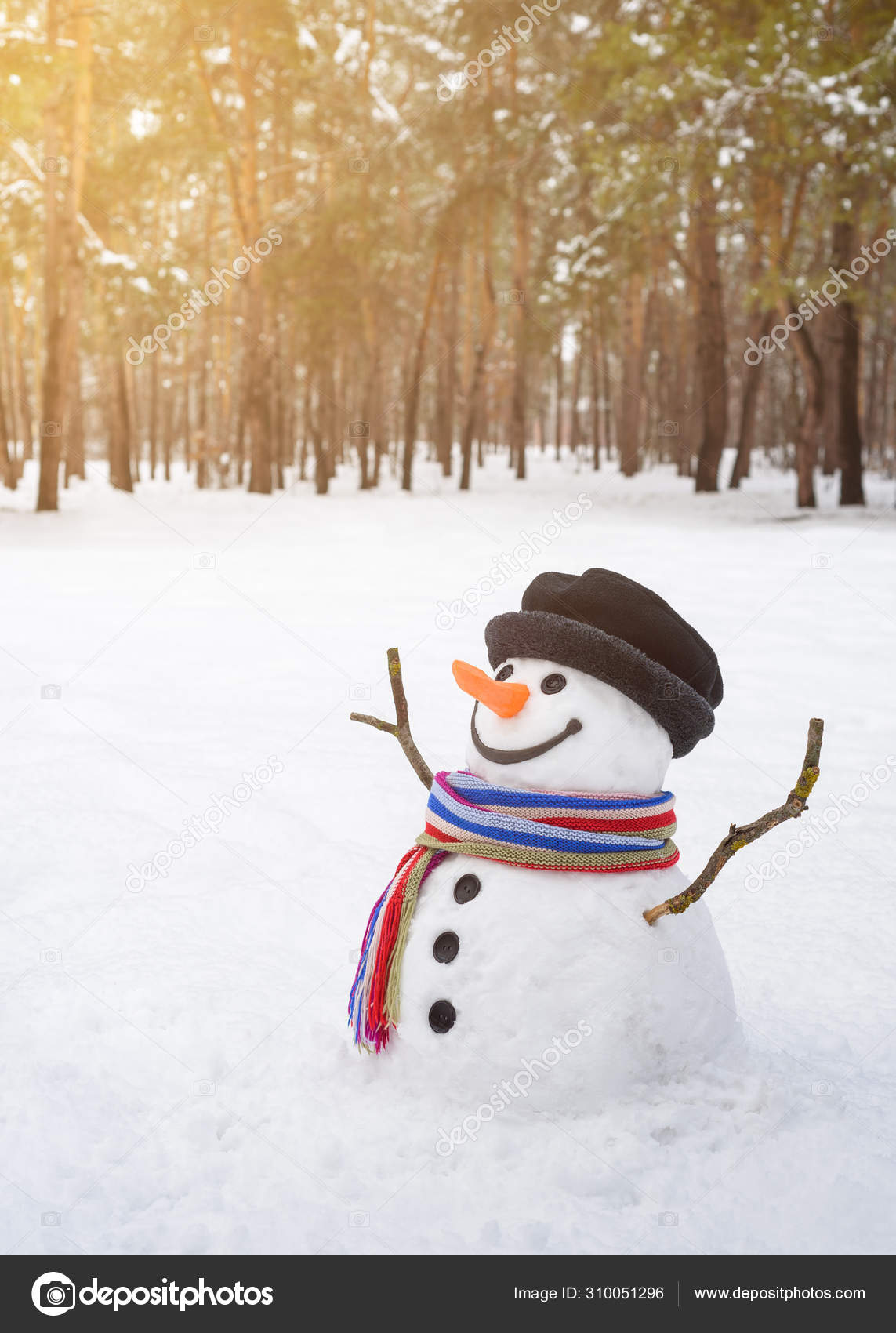 Cute Snowman Stock Photos Royalty Free Images Depositphotos