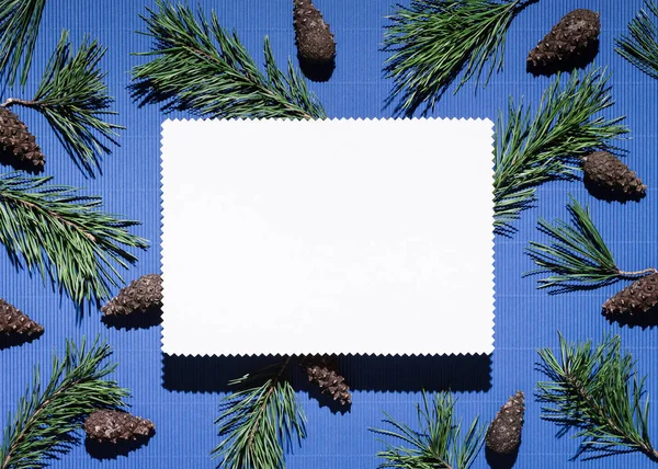 Branches de sapin de Noël avec note de carte de papier sur bleu — Photo