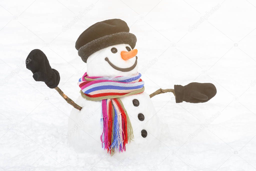 Snowman in a bright dress with a sweet smile