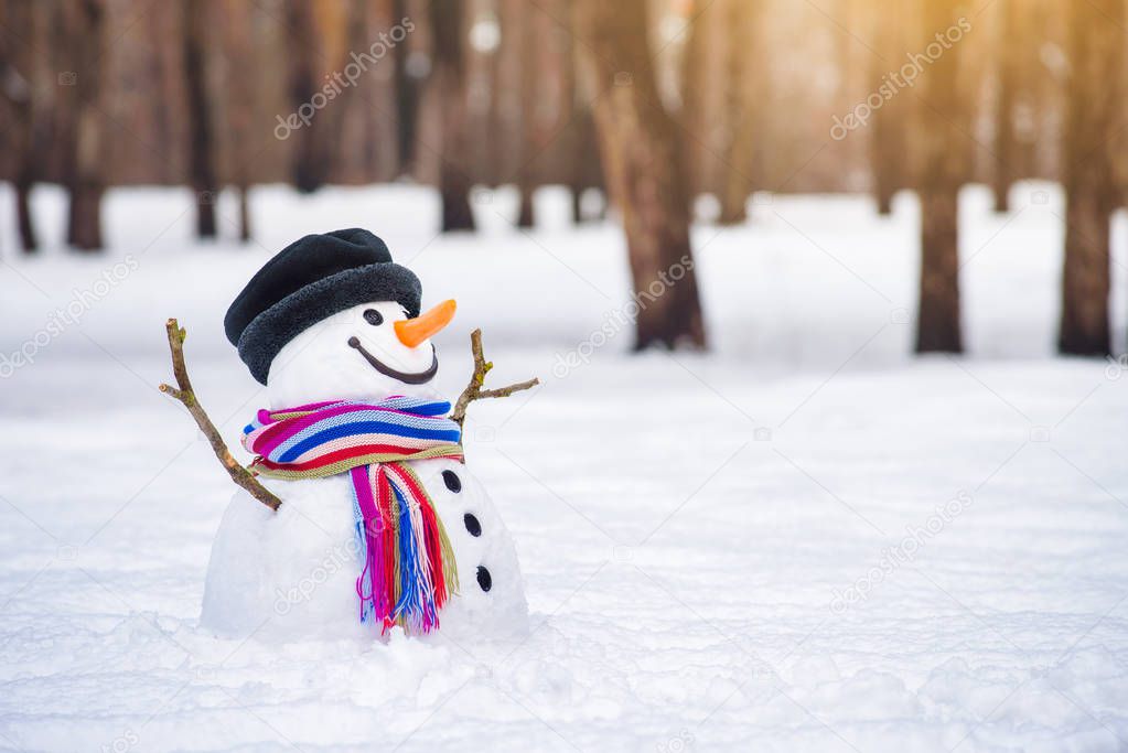 Winter card with a snowman in a city park