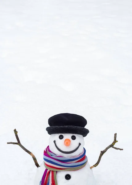 Winterachtergrond met een sneeuwpop — Stockfoto