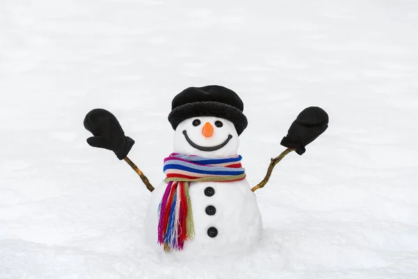 Fröhlicher Schneemann mit Fäustlingen — Stockfoto