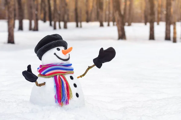 Cartão de Natal com um boneco de neve engraçado — Fotografia de Stock