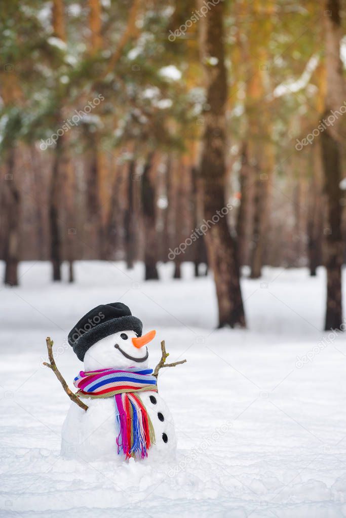 Snowman in winter park