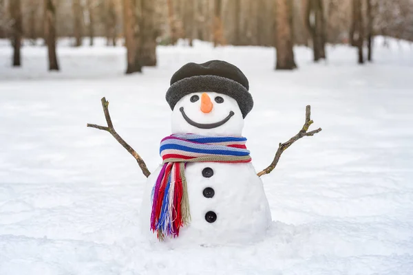 Muñeco de nieve con los brazos extendidos desde las ramas — Foto de Stock