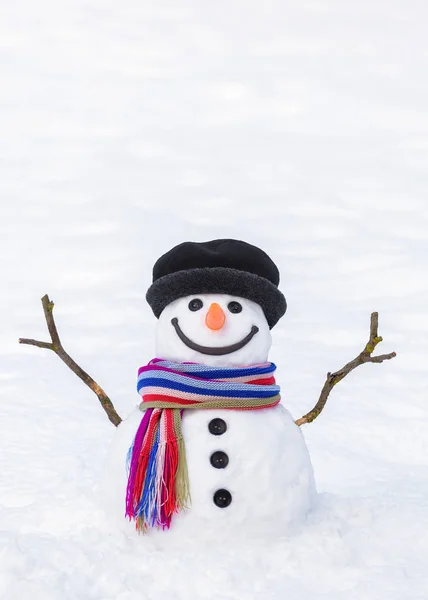 Grappige sneeuwpop met een kleurrijke sjaal — Stockfoto