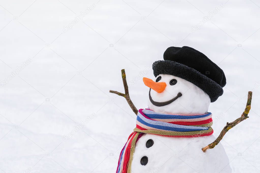 Close Up of a snowman in snowy forest in snowfall