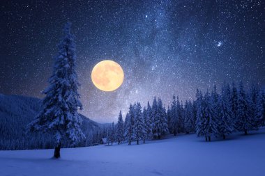 Yıldızlı gökyüzü ve dolunayla Kış Gecesi