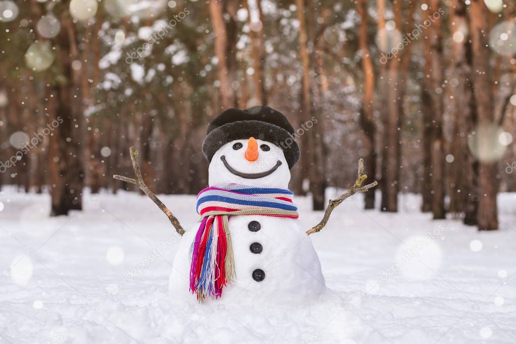 Magic snowman with a lovely smile