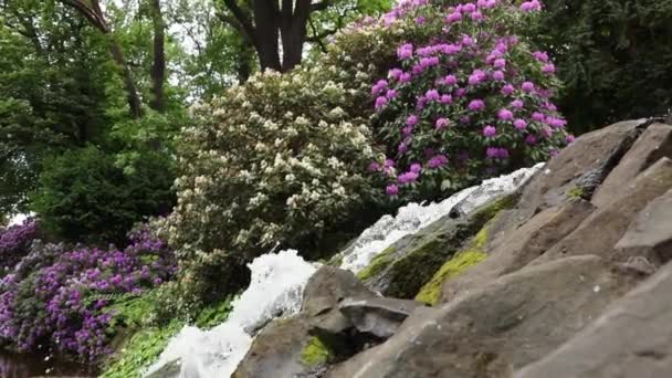 Waterfall with blossom flowers in botanic garden — Stock Video