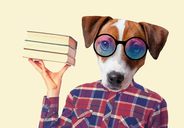 Un cane antropomorfo con libri — Foto Stock