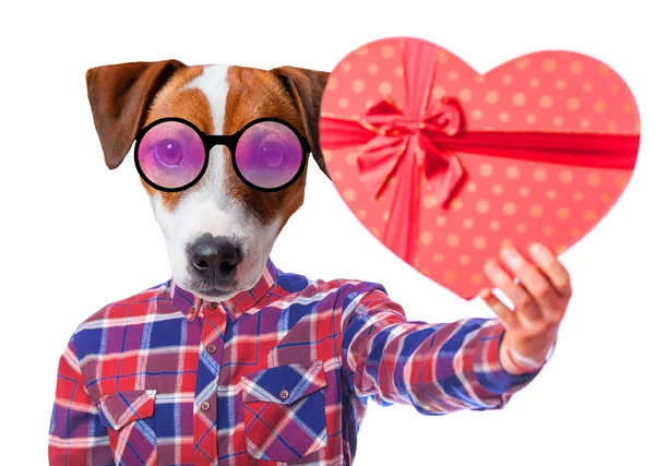 Hund med rött hjärta form gåva — Stockfoto