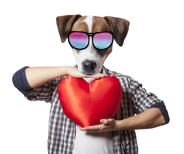 Antropomorfe hond met hart vorm — Stockfoto