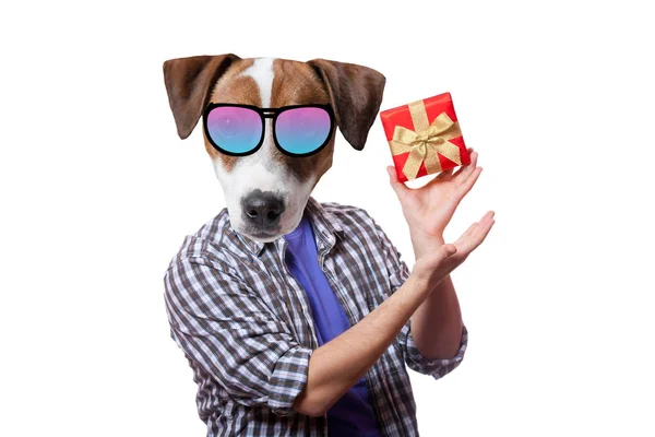 Een antropomorfe hond met huidige vak — Stockfoto