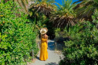 kız var dinlenme palm ormanda