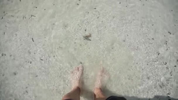 女性の脚 海に立っている女性きれいな水の波紋 — ストック動画