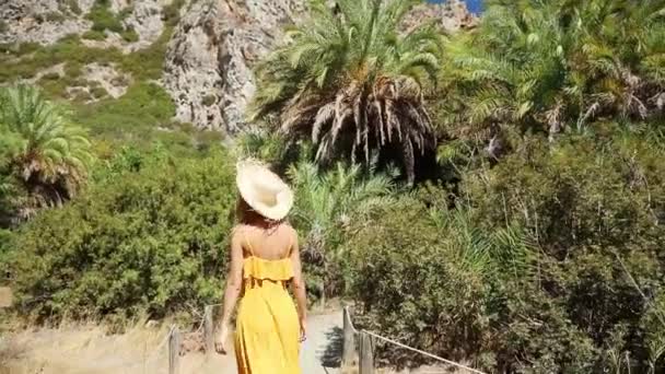 Mooie Jonge Vrouw Lopen Tropische Resort — Stockvideo