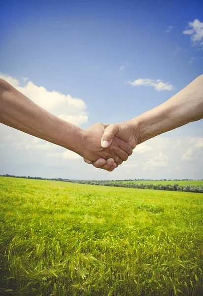 Mannelijke Handdruk Tarweveld Zomertijd Oogsttijd — Stockfoto