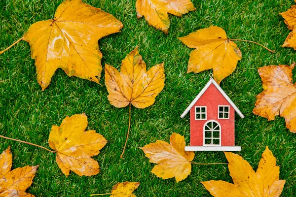 Golden Autumn Maple Leaves Little Wooden House Green Grass — Stock Photo, Image