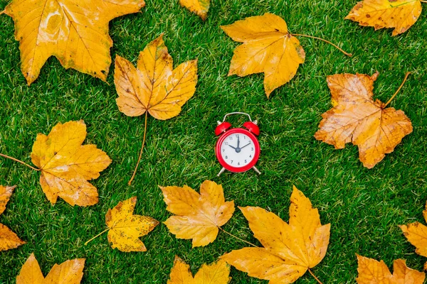 Золотые Осенние Кленовые Листья Часы Зеленой Траве — стоковое фото