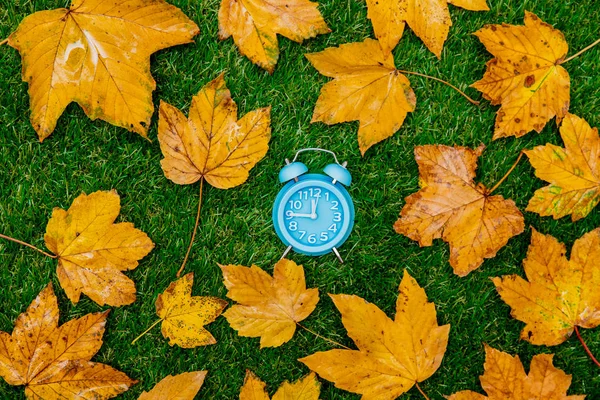 Golden Autumn Klonowe Listowie Niebieski Budzik Zielonej Trawie — Zdjęcie stockowe