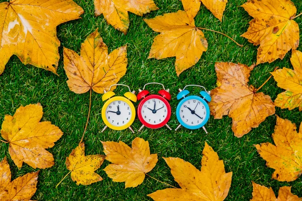 Gouden Herfst Esdoorn Bladeren Kleine Wekkers Groen Gras Boven Weergave — Stockfoto