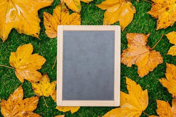 Golden Autumn Maple Leaves Blackboard Green Grass — Stock Photo, Image