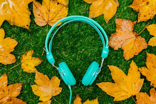 黄金の秋の紅葉と緑の草の上にヘッドフォン — ストック写真