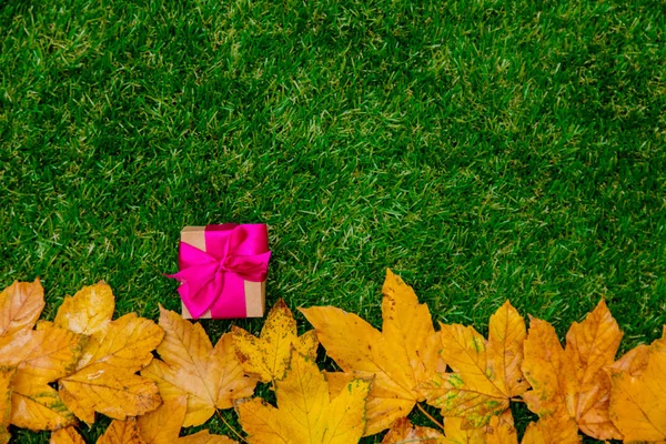 Zlatá Podzimní Javorové Listy Krabičky Zelené Trávě — Stock fotografie