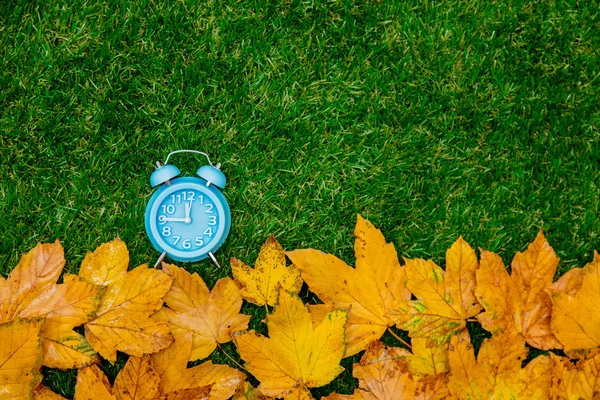 Feuilles Érable Automne Dorées Petit Réveil Sur Herbe Verte — Photo