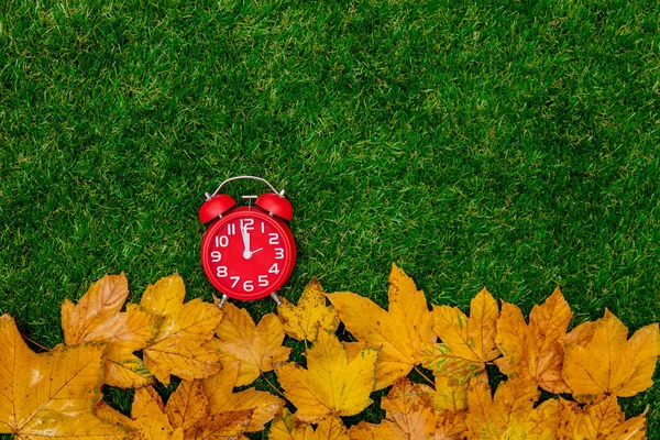 Foglie Acero Autunnale Dorato Sveglia Erba Verde — Foto Stock