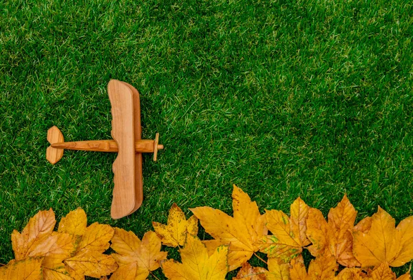 Золотые Осенние Кленовые Листья Деревянный Самолет Зеленой Траве — стоковое фото