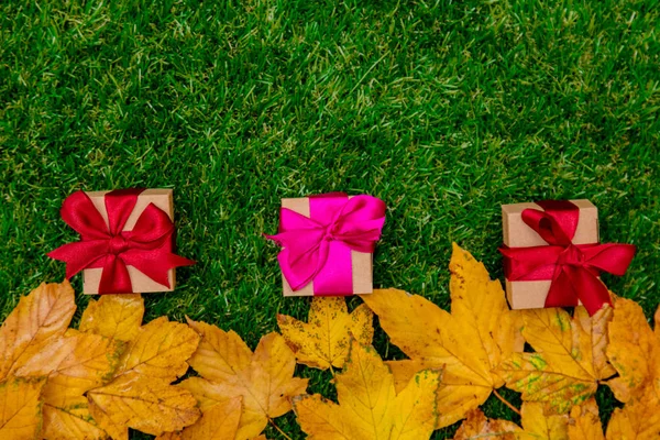 Zlatá Podzimní Javorové Listy Dárkové Krabice Zelené Trávě — Stock fotografie