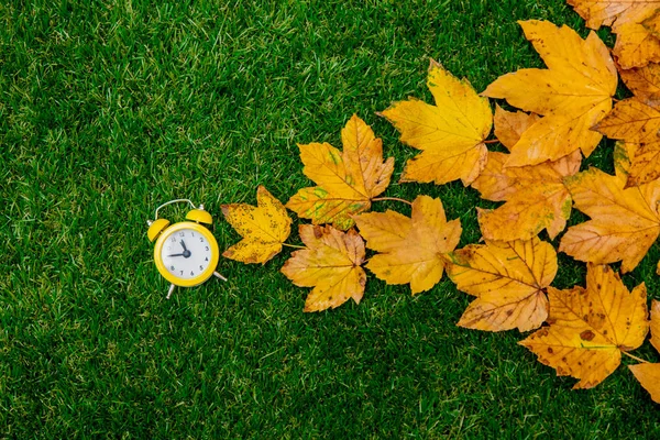 Hojas Arce Otoño Dorado Reloj Sobre Hierba Verde —  Fotos de Stock