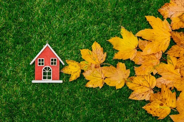 Golden Autumn Maple Leaves Little Wooden House Green Grass — Stock Photo, Image