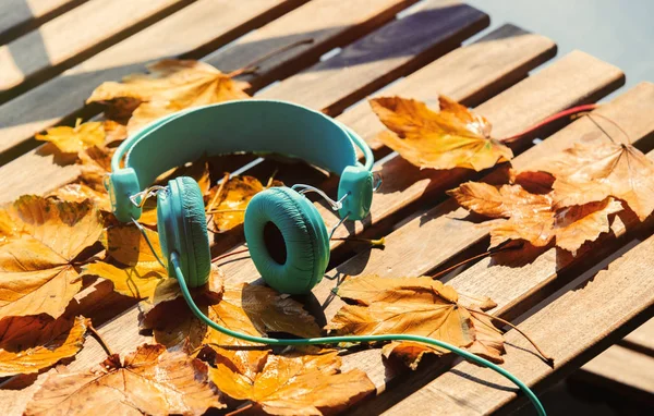 Blue Headphones Maple Leaves Wooden Table — Stock Photo, Image