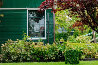 Hollanda'da eski kırsal evinde görüntülemek