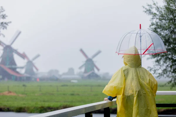 Girl in rain suit with umbrella stay on bridge with dutch mills — Stock Photo, Image