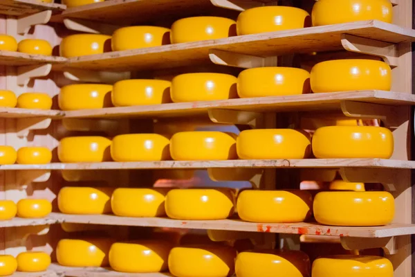 View at yellow dutch cheese on warehouse — Stock Photo, Image