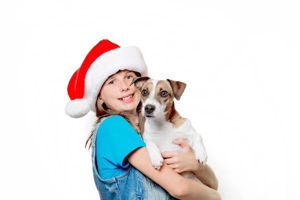 Menina no chapéu de Natal com jack russell terrier cão — Fotografia de Stock