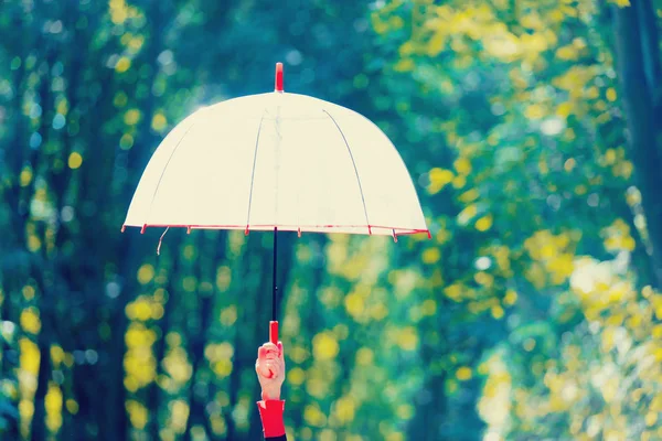 Bir parkta şemsiye tutan el — Stok fotoğraf
