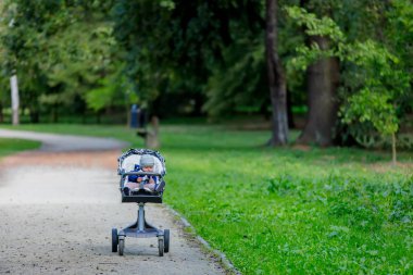 Arabasındaki bebek yalnız bir parkta küçük bir bebek çocuk portresi 