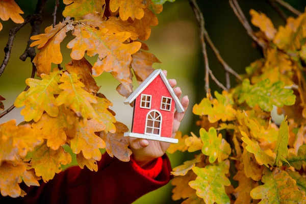 Female Hand Holding House Toy Oak Branch Autumn Season Park — Stock Photo, Image