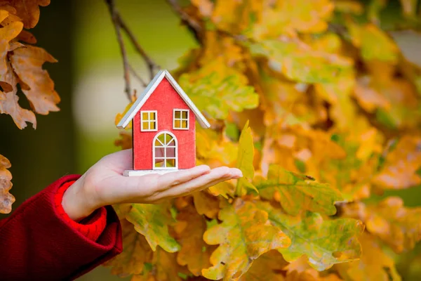 Frau Hält Hausspielzeug Der Nähe Von Eichenzweig Herbst Saisonpark — Stockfoto