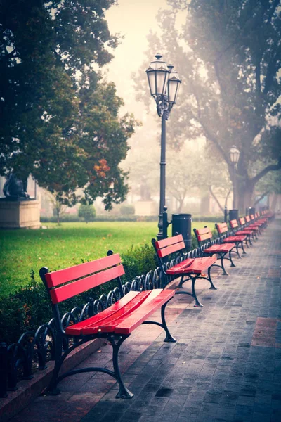 Kijk Bankjes Stadstuin Herfst Tijd Seizoen — Stockfoto