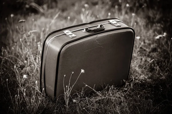 Vintage Suitcase Meadow Image Black White Color Style — Stock Photo, Image