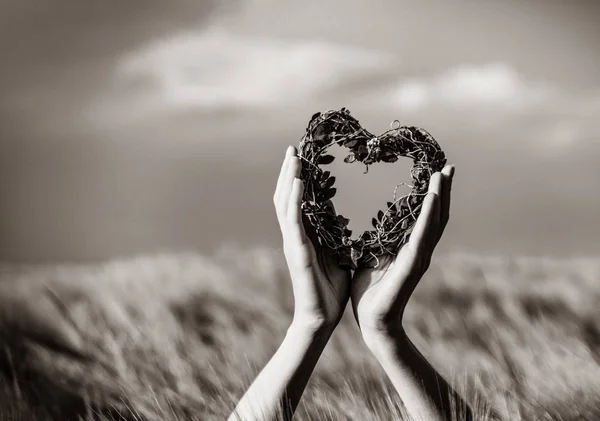 Kalp Tutan Eller Fotoğraf Alanında Oyuncak Şeklinde Görüntü Siyah Beyaz — Stok fotoğraf